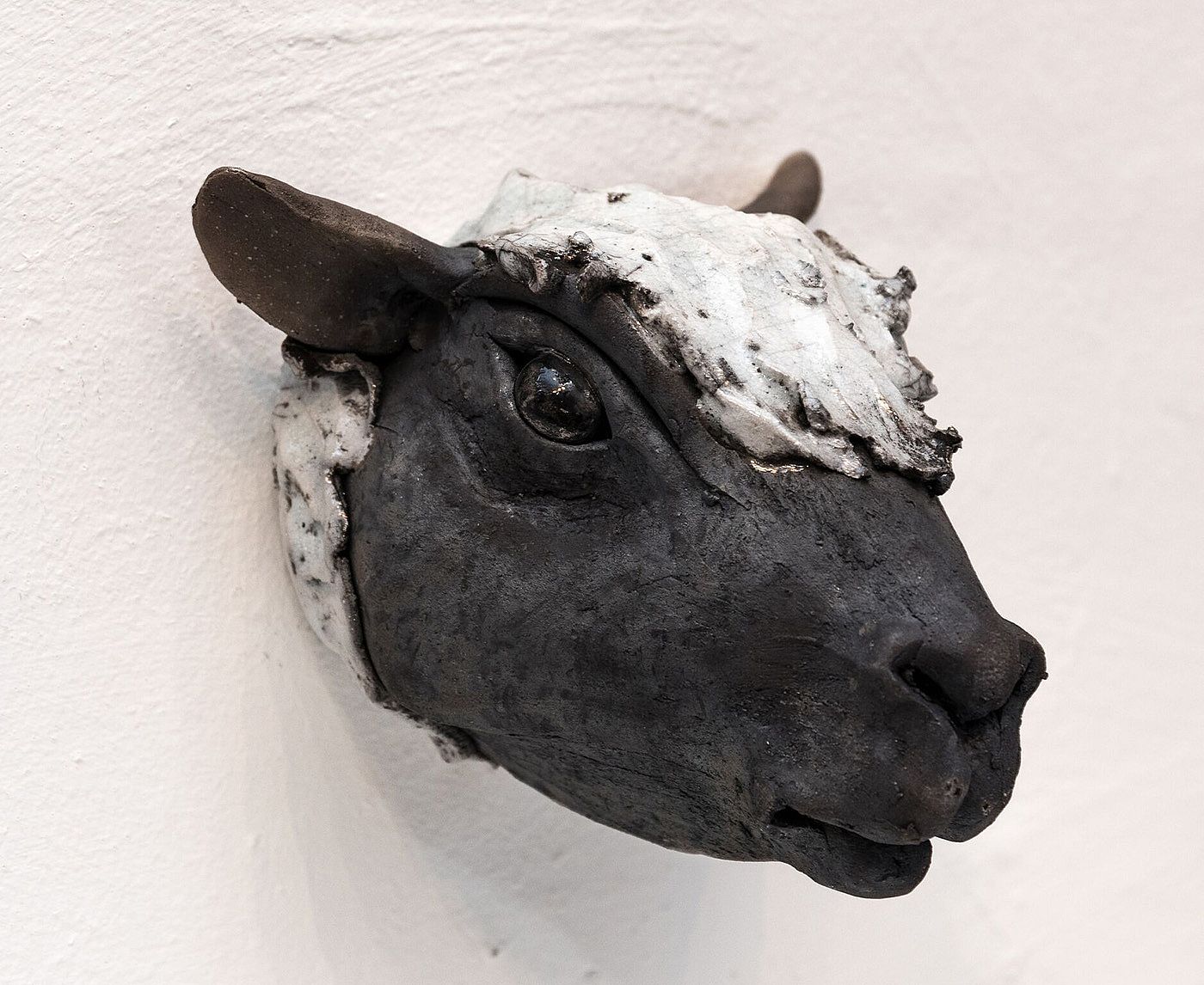 Black sheep head 2 by Carol Read Richard Ballantyne